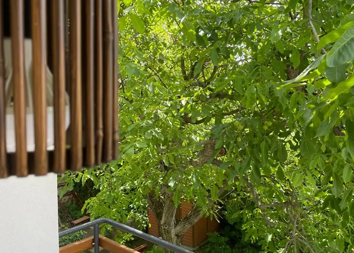 Quiet, Green, Relaxing Place - 1 Bedroom Apartament Balatonfüred